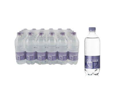 Acqua frizzante pet 500 ml