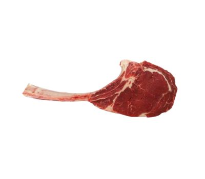 Tomahawk irlanda scottona