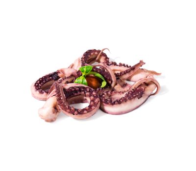 Tentacoli di totano gigante