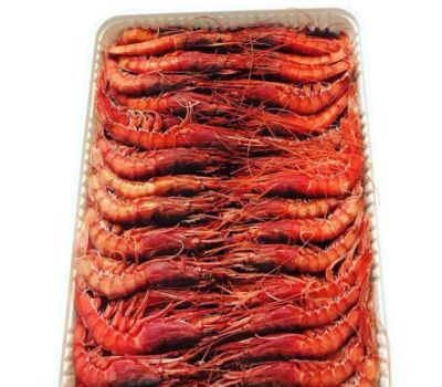 Gambero rosso sicilia iii 35/50pz/kg