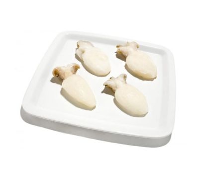 Seppia pulita indopacifico