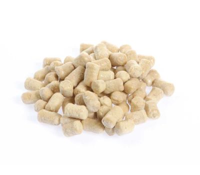 Gnocchi casarecci alle castagne