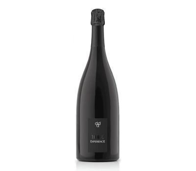 Vino prosecco magnum exper.valdobb. docg