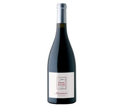 Vino pinot nero monsieur igp