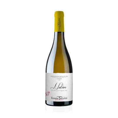 Vino verdicchio castelli di jesi doc